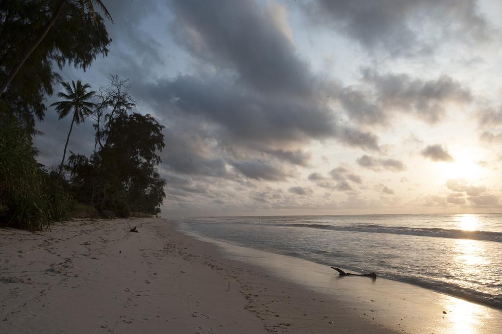 Diani House Hotell Diani Beach Eksteriør bilde