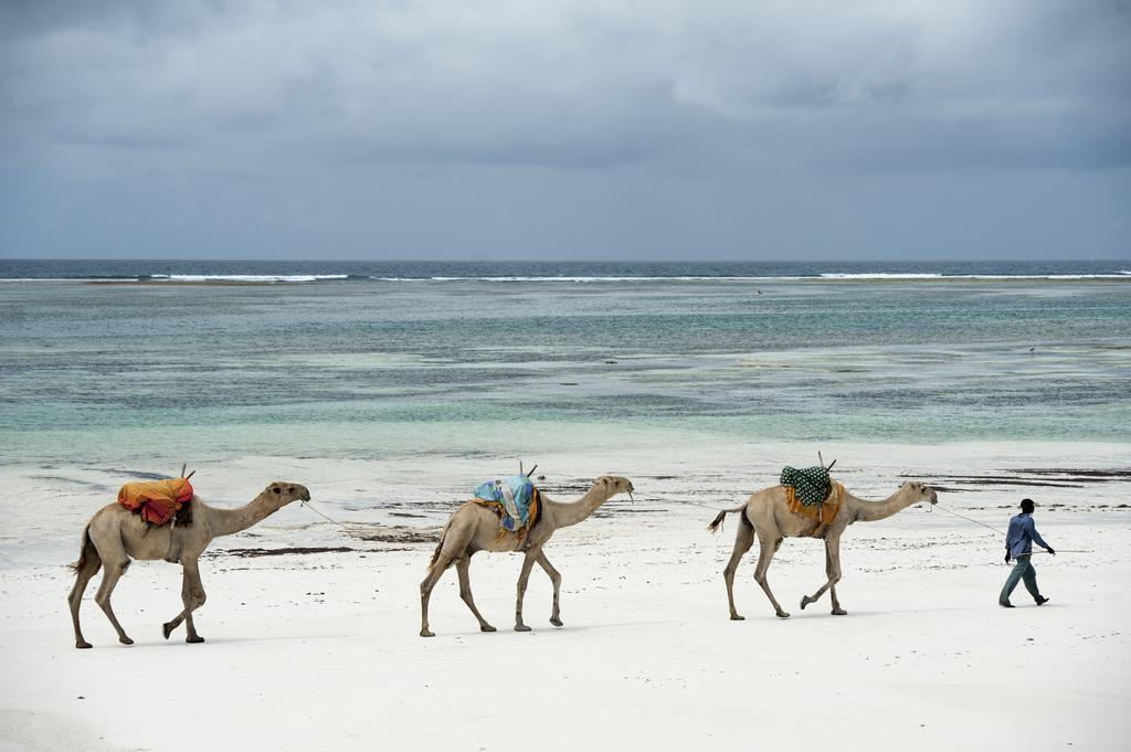 Diani House Hotell Diani Beach Eksteriør bilde