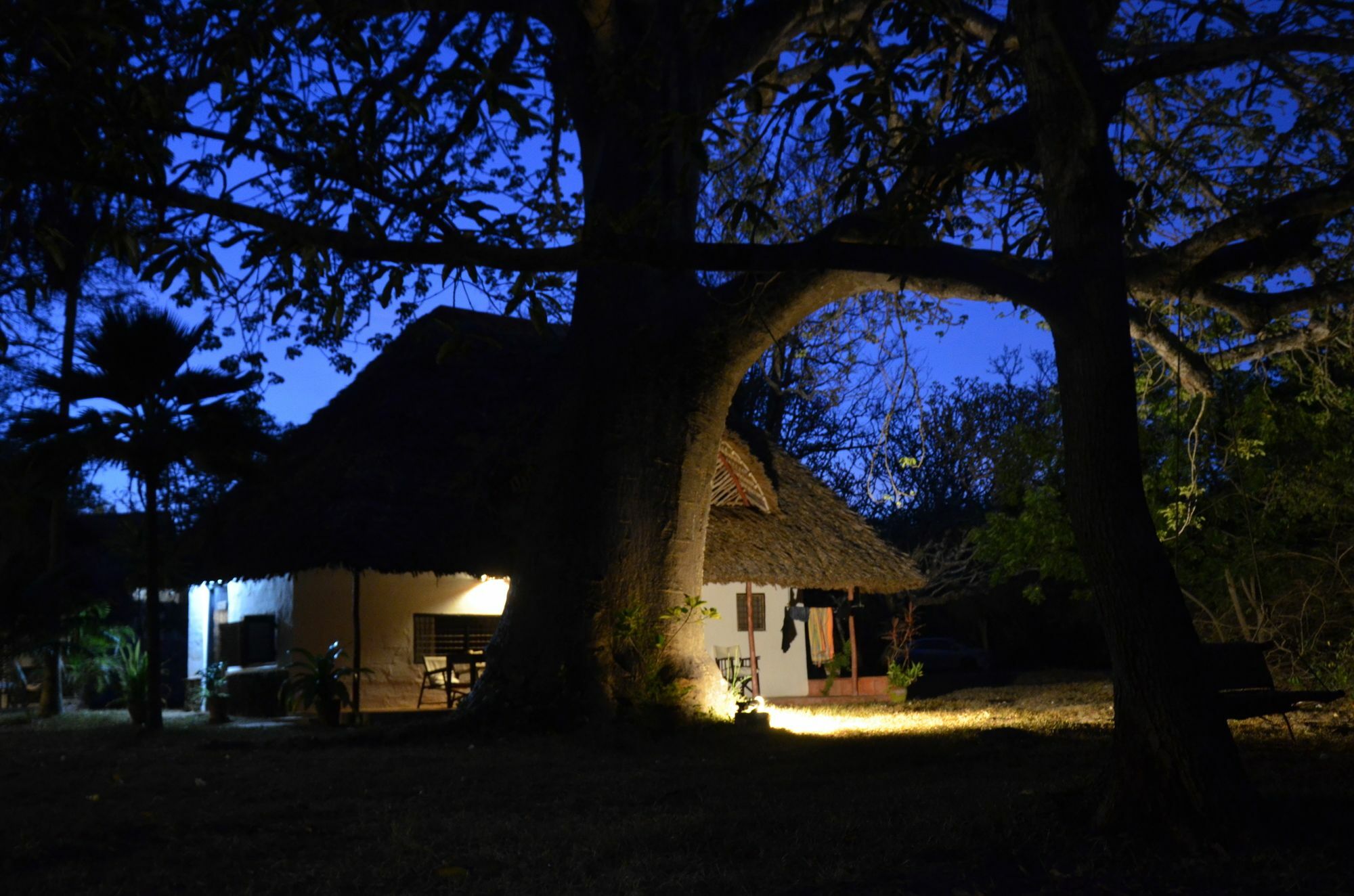 Diani House Hotell Diani Beach Eksteriør bilde